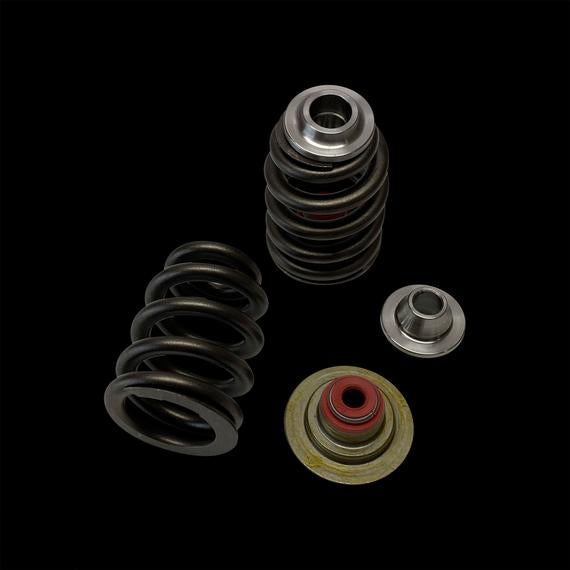 BC0930T - Canam X3 / ROTAX 900 ACE Beehive Spring/Titanium Retainer/Seat Kit