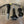 TPR010C - MSD Coil Kit for TPR Billet Valve Cover - RZR