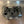 TPR010 - HARD CLEAR Billet Valve Cover - RZR